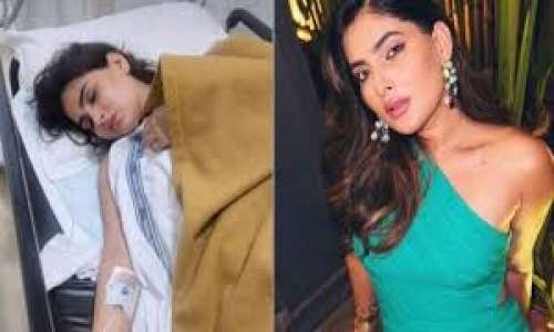 चलती ट्रेन से कूदीं करिश्मा शर्मा, सिर में गंभीर चोट, अस्पताल में भर्ती